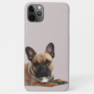 Französische Bulldogge iPhone 11 Pro Max Hülle