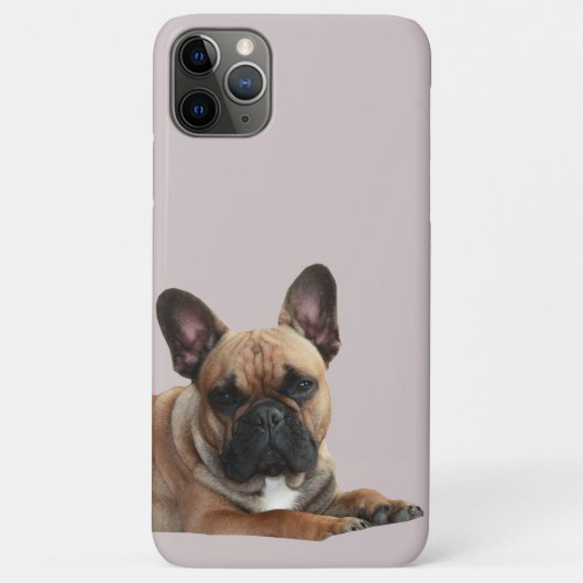 Französische Bulldogge iPhone 11 Pro Max Hülle (Rückseite)