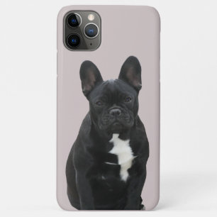 Französische Bulldogge iPhone 11 Pro Max Hülle