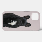 Französische Bulldogge iPhone 13 Pro Case Mate (Rückseite (Horizontal))