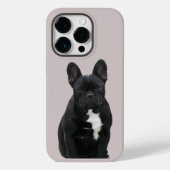 Französische Bulldogge iPhone 14 Pro  Case Mate  (Rückseite)