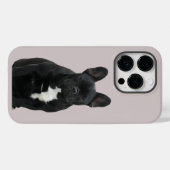 Französische Bulldogge iPhone 14 Pro  Case Mate  (Rückseite (Horizontal))