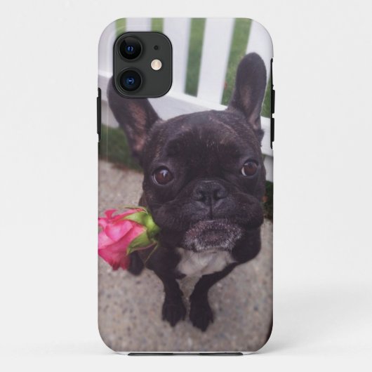 Französische Bulldogge iPhone 5/5S Fall Case-Mate iPhone Hülle (Rückseite)