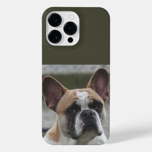 Französische Bulldogge  iPhone Hülle (Rückseite)