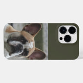 Französische Bulldogge  iPhone Hülle (Rückseite (Horizontal))