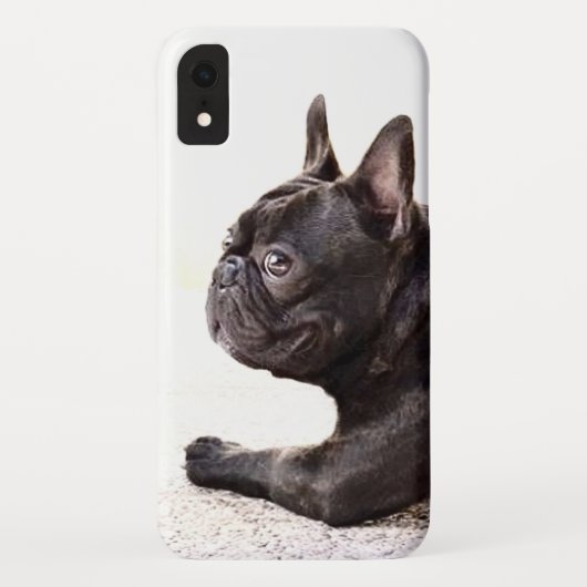 Französische Bulldogge iPhone Xr Fall Case-Mate iPhone Hülle (Rückseite)