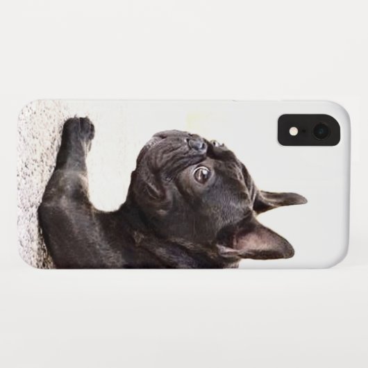 Französische Bulldogge iPhone Xr Fall Case-Mate iPhone Hülle (Rückseite (Horizontal))