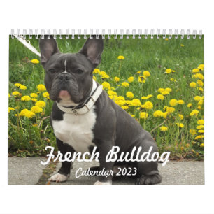 Französische Bulldogge Kalender 2023 Fügen Sie Ihr