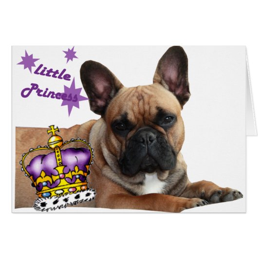 Französische Bulldogge Karte (Vorderseite (Horizontal))