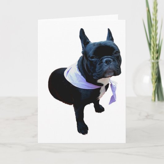 Französische Bulldogge Karte (Vorderseite)