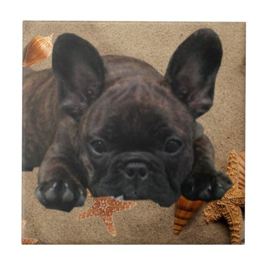 Französische Bulldogge Keramikfliese (Vorderseite)