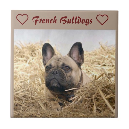 Französische Bulldogge Keramikfliese (Vorderseite)