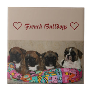 Französische Bulldogge Keramikfliese