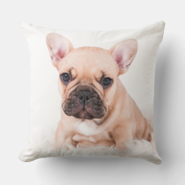Französische Bulldogge Kissen (Vorderseite)