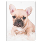 Französische Bulldogge Klemmbrett (Rückseite)