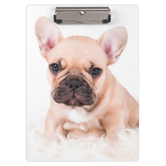 Französische Bulldogge Klemmbrett (Vorderseite)