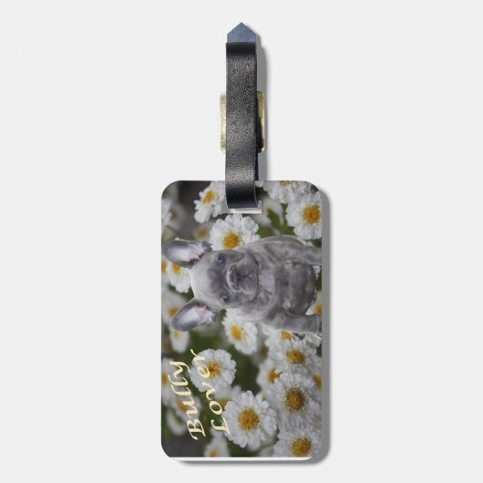 Französische Bulldogge Kofferanhänger (Rückseite vertikal)