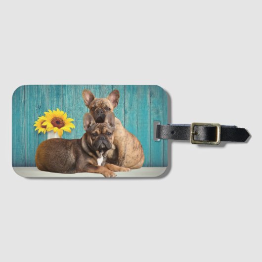 Französische Bulldogge Kofferanhänger (Vorderseite (Horizontal))