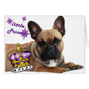 Französische Bulldogge Krone French Bulldog