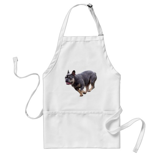 Französische Bulldogge läuft Schürze (Vorne)