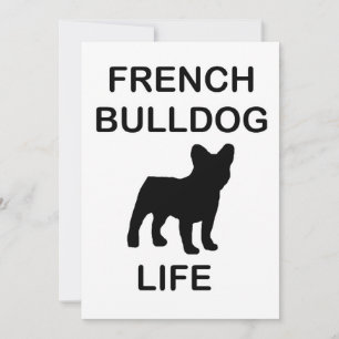 Französische Bulldogge Leben Einladung