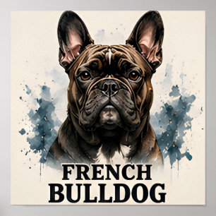 Französische Bulldogge Luxus-Begleiter-Kollektion Poster