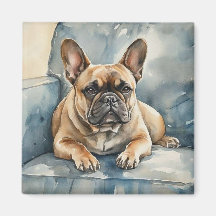 Französische Bulldogge