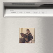 Französische Bulldogge Magnet (In Situ (Geschirrspüler))