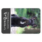 Französische Bulldogge-Mama Foto des Hundes einfüg Magnet (Horizontal)