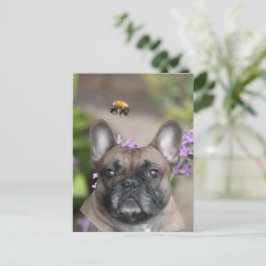 Französische Bulldogge mit Biene French Bulldog Postkarte