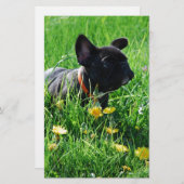 Französische Bulldogge mit Blumen French Bulldog Briefpapier (Vorne/Hinten)