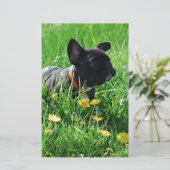 Französische Bulldogge mit Blumen French Bulldog  Briefpapier (Stehend Vorderseite)