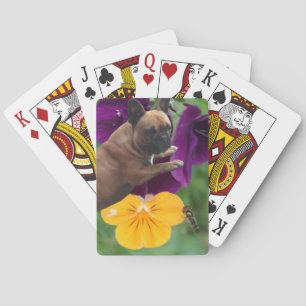 Französische Bulldogge mit Blumen French Bulldog Spielkarten