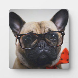 Französische Bulldogge mit Brille und Fliege Fotoplatte