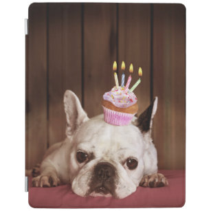 Französische Bulldogge mit Geburtstags-kleinem iPad Hülle