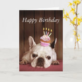 Französische Bulldogge mit Geburtstags-kleinem Karte (Gelbe Blume)