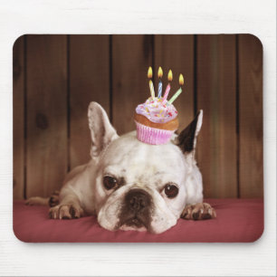 Französische Bulldogge mit Geburtstags-kleinem Mousepad