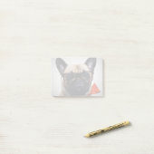 Französische Bulldogge mit Gläsern und Post-it Klebezettel (Auf Schreibtisch)