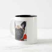 Französische Bulldogge mit Gläsern und Zweifarbige Tasse (Vorderseite Links)
