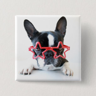 Französische Bulldogge mit roten Stern-Gläsern Button
