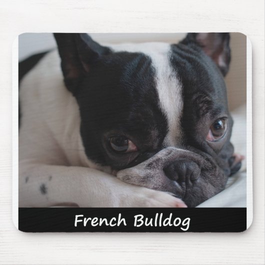 Französische Bulldogge Mousepad (Vorne)