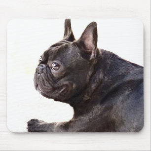 Französische Bulldogge Mousepad