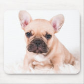 Französische Bulldogge Mousepad (Vorne)