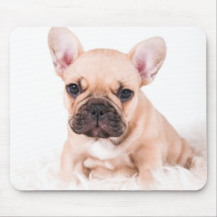 Französische Bulldogge Mousepad