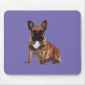 Französische. Bulldogge Mousepad (Vorne)
