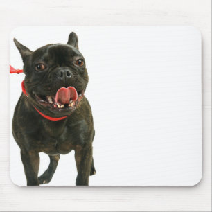 Französische Bulldogge Mousepad
