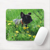 Französische Bulldogge Mousepad (Mit Mouse)
