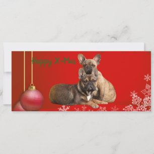 Französische Bulldogge Neujahr French Bulldog Save The Date