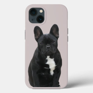 Französische Bulldogge Niedlich French Bulldog Case-Mate iPhone Hülle