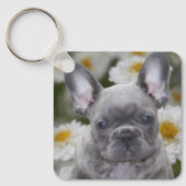 Französische Bulldogge niedlich French Bulldog Schlüsselanhänger (Vorderseite)